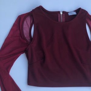 Sheer crop top sheer long sleeve crop top Tobi